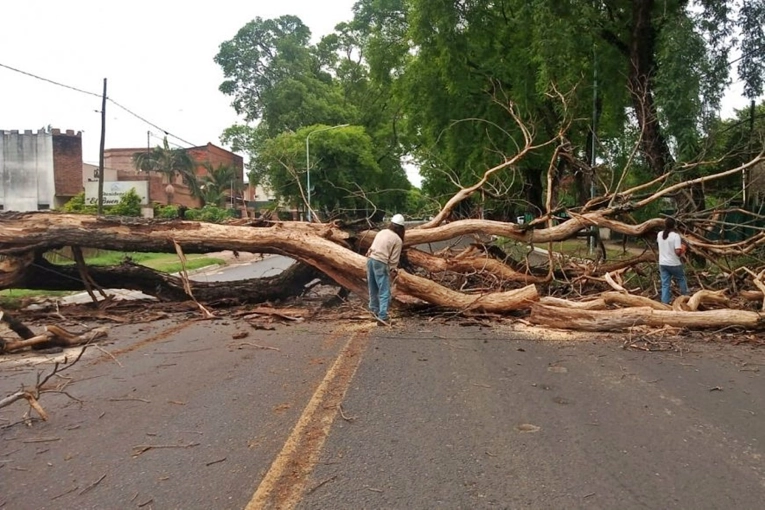 Una importante avenida de Concordia estará cortada al tránsito durante tres jornadas - imagen de origen