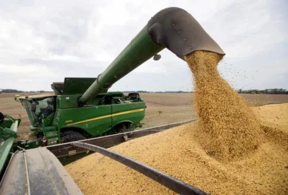 La Bolsa de Cereales señaló que caería un 16% la producción de soja en Entre Ríos - imagen de origen
