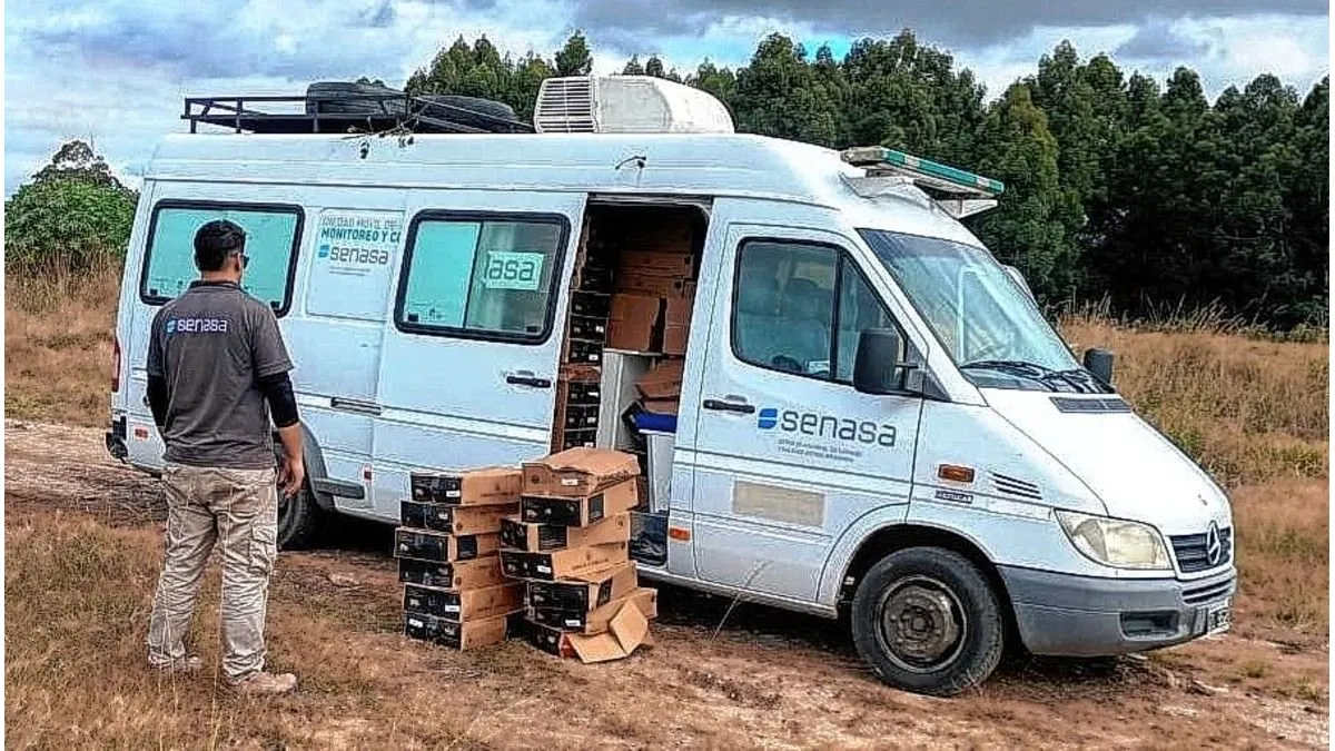 Entre Ríos: decomisaron más de tres toneladas de embutidos sin refrigeración - imagen de origen