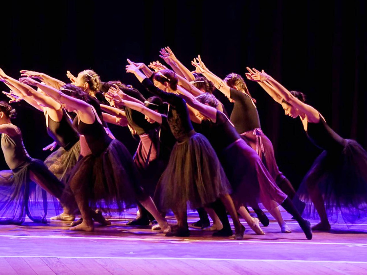 Difundieron las propuestas seleccionadas del primer Encuentro Entrerriano de Danza - imagen de origen