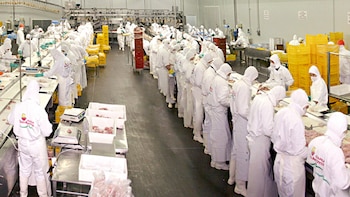 Crisis en la mayor avícola del país: Granja Tres Arroyos cerró su planta de Entre Ríos y peligran 950 empleos - Informe Digital - imagen de origen