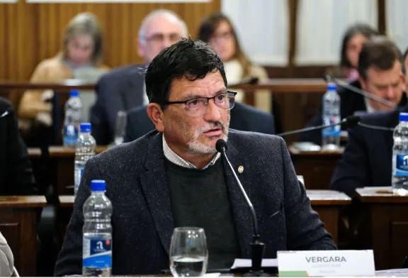 Vergara apuntó a una contradicción del PJ: declaró la emergencia previsional dos años después de la reforma - imagen de origen