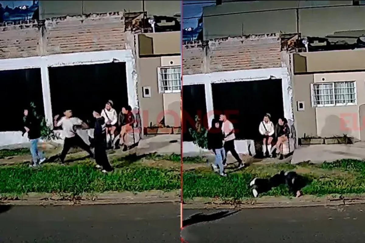 Un adolescente quedó inconsciente tras una pelea a la salida de un boliche en Paraná - imagen de origen