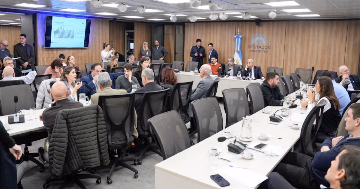 UIA y CAME alertaron por empleo y pidieron proveedores locales en el RIGI - Informe Digital - imagen de origen