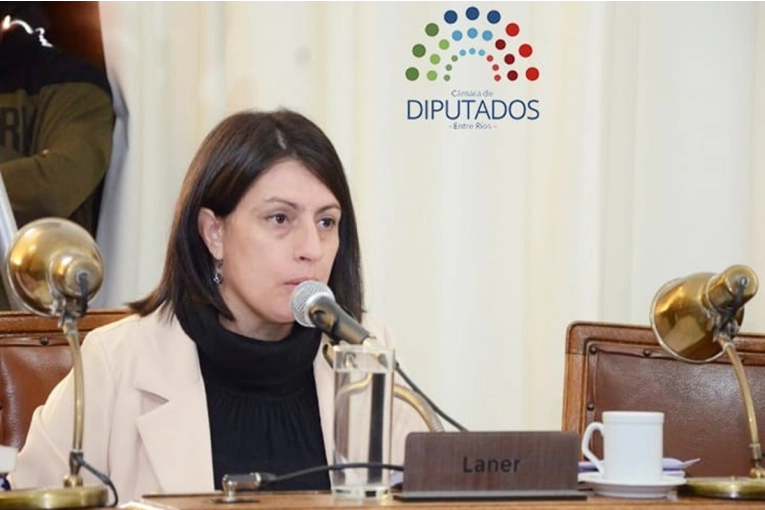 La diputada Laner aseguró que la reforma previsional busca sostener el 82% móvil - imagen de origen