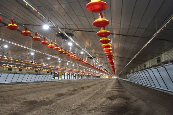 Inversión avícola en Villaguay suma desarrollo en bioseguridad con tecnología de punta - imagen de origen