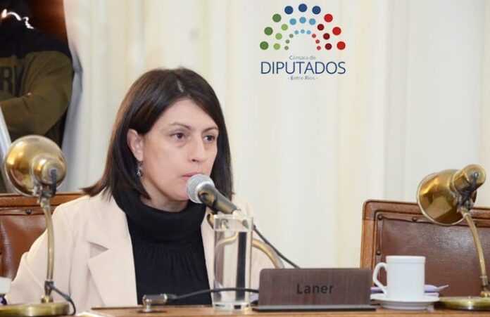 Laner defendió la reforma previsional y aseguró que preserva el 82% móvil. - imagen de origen