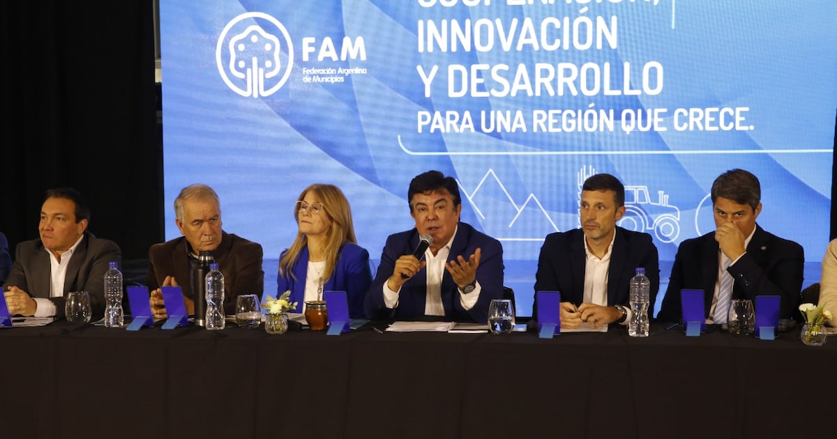 Más de cien intendentes analizaron la crisis provocada por Javier Milei - Informe Digital - imagen de origen