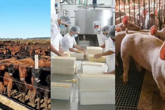 Entre Ríos registró en diciembre de 2025 un crecimiento interanual del 1,2% - imagen de origen