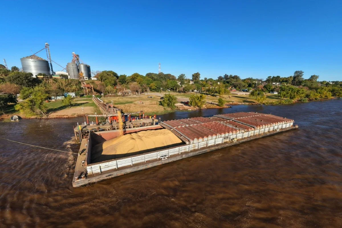 El Puerto de Concepción del Uruguay se prepara para exportar harina de soja no transgénica a Europa - imagen de origen