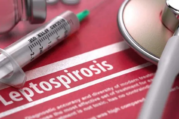 Aclaración oficial ante un mensaje viral sobre riesgos sanitarios en alimentos - imagen de origen
