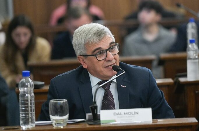 Reforma previsional: "Los jubilados actuales no se van a ver tan perjudicados", dijo Dal Molín - Plaza Web - imagen de origen