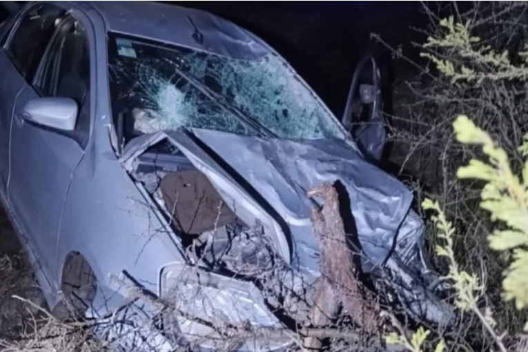 Un automóvil colisionó con un bovino y su conductor debió ser trasladado a Concordia - imagen de origen