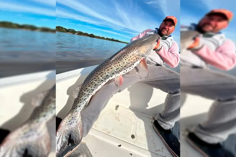 Capturaron un enorme surubí en el río Paraná y lo devolvieron al agua - imagen de origen