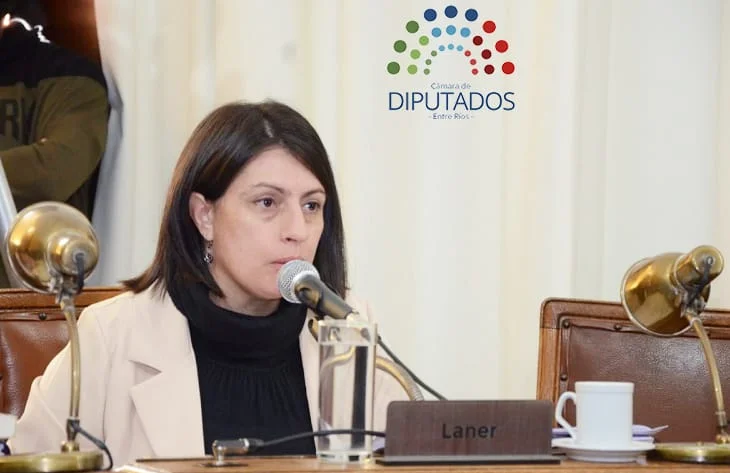 Laner defendió la reforma previsional y aseguró que busca garantizar la continuidad del 82% móvil - imagen de origen