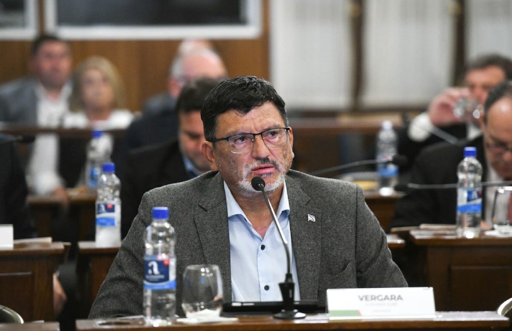 Vergara reveló que el PJ declaró la emergencia previsional apenas dos años después de crear el actual sistema jubilatorio - imagen de origen